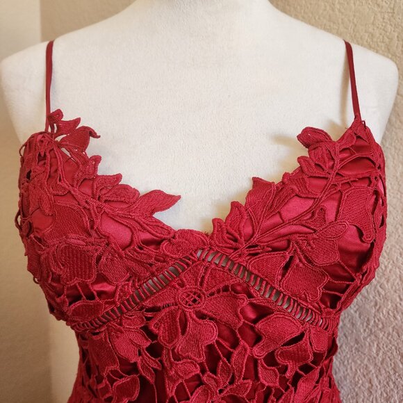 L'Atiste by Amy Red Lace Dress - Medium - Picture 3 of 6